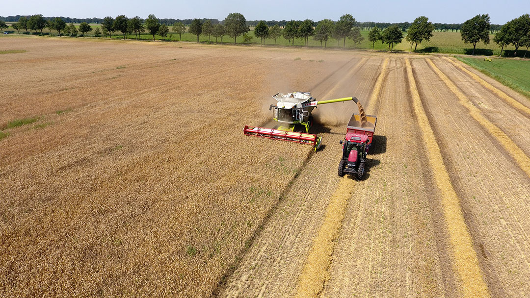 Wheat prices currently depend on the progress of the harvest. Based on harvest forecasts, corn should become cheaper, and until recently, a record yield was expected. However, recent heavy storms in the US Corn Belt now call this prediction into question. Photo: Henk Riswick