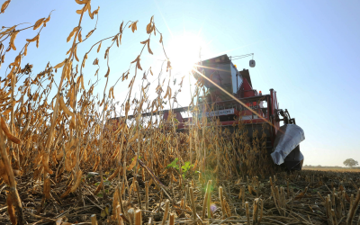 Ukraine to increase export of soybean meal