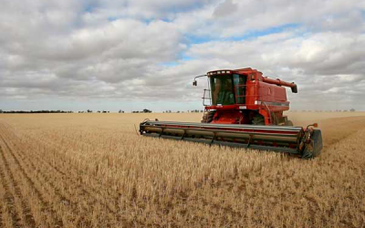 UK harvest 2014 rumbles into gear