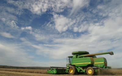 Ukraine to increase soybean production