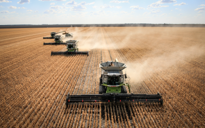 World grain output fuelled by feed demand
