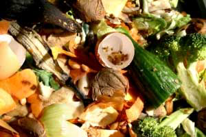 Iran to produce poultry feed from food waste