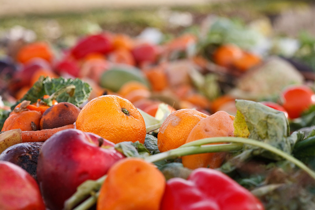 There is no guarantee of feed safety when food waste is used.