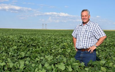 Sarel inspects this year's soybean crop. Photo: Chris McCullough