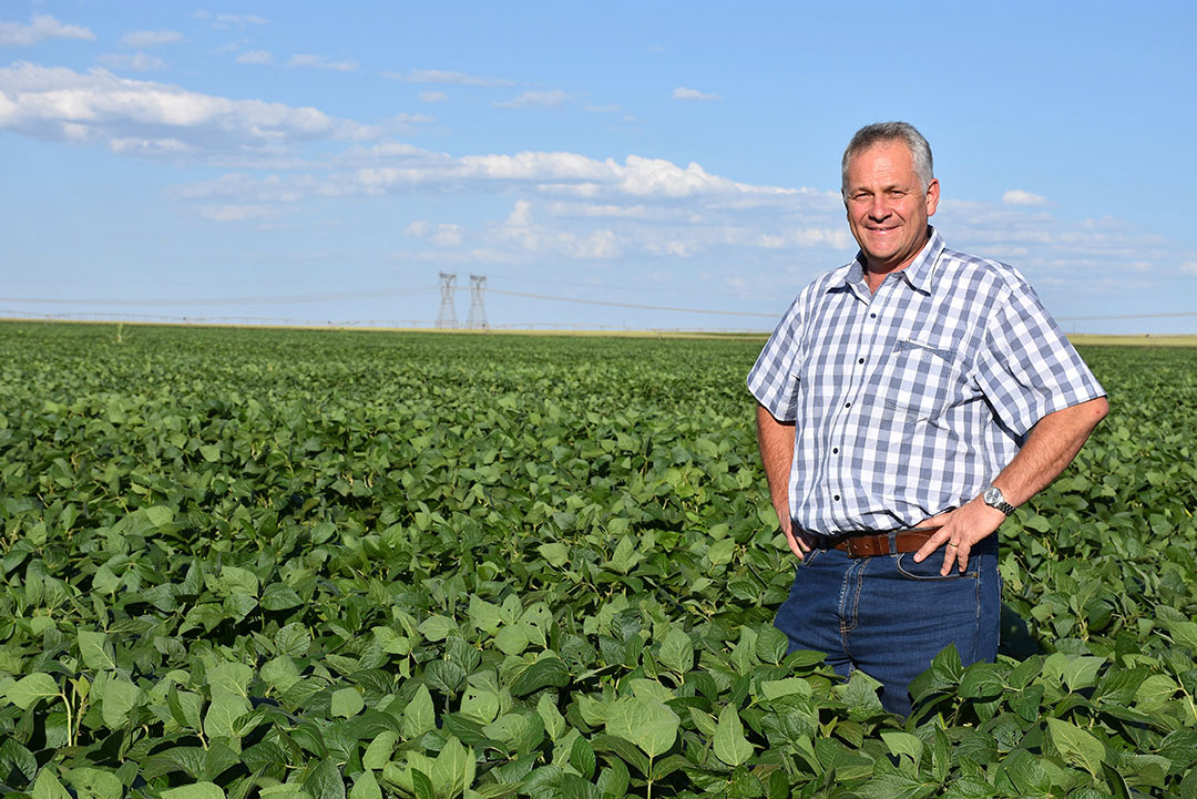 Sarel inspects this year's soybean crop. Photo: Chris McCullough