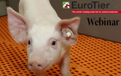 Healthy guts, healthy piglets  webinar by Pig Progress