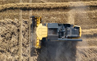 In the current harvest time, the physical wheat market is affected by the first supply, which is larger worldwide than last season. Photo: Peter Roek