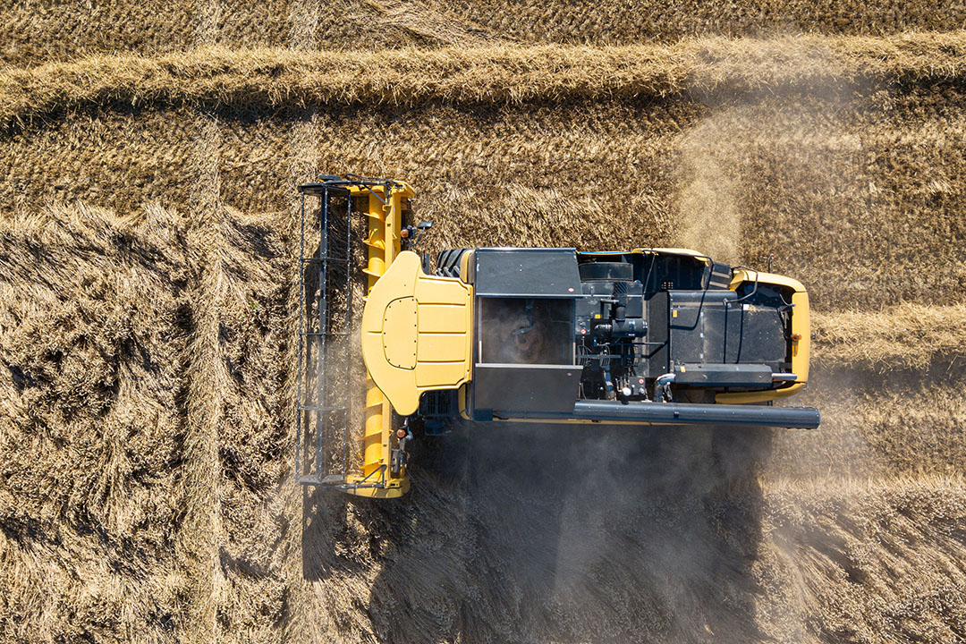 In the current harvest time, the physical wheat market is affected by the first supply, which is larger worldwide than last season. Photo: Peter Roek