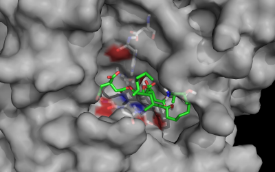 Mycotoxin deactivation with natural enzymes. Photo: Biomin