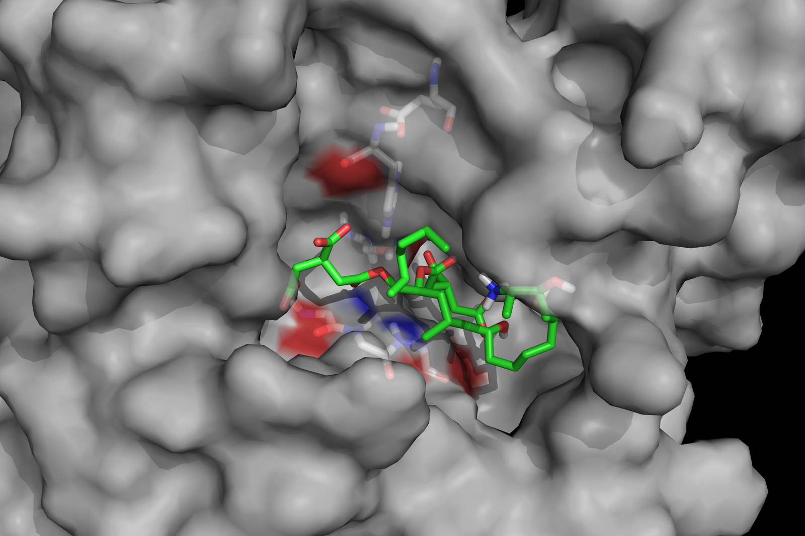 Mycotoxin deactivation with natural enzymes. Photo: Biomin