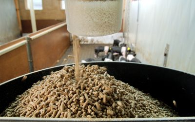 Improving pellet quality: The key factors. Photo: Ruben Keestra