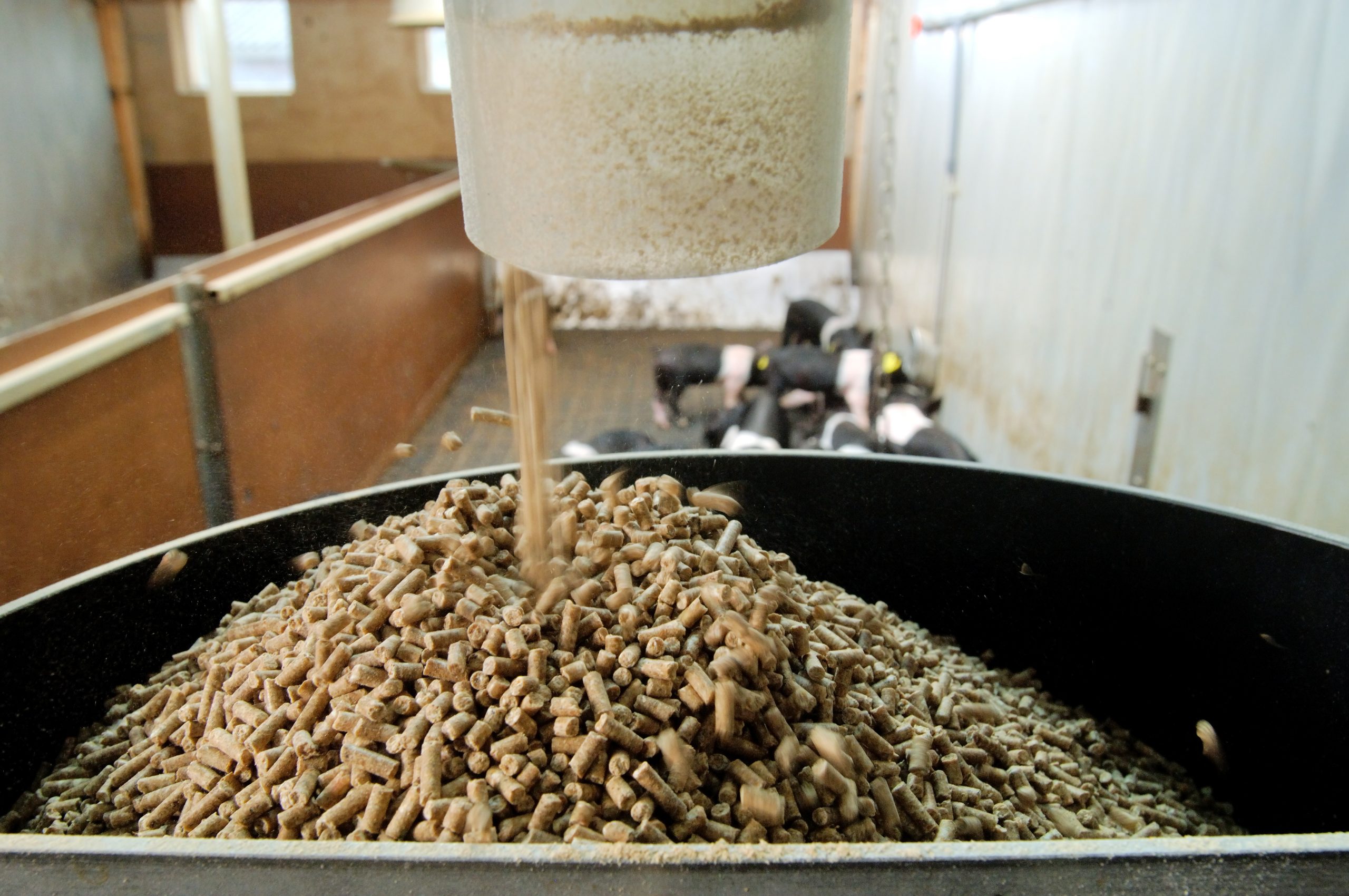 Improving pellet quality: The key factors. Photo: Ruben Keestra