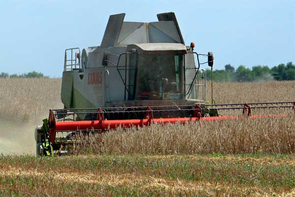 Ukrainian Grain completes animal/fish feed mill