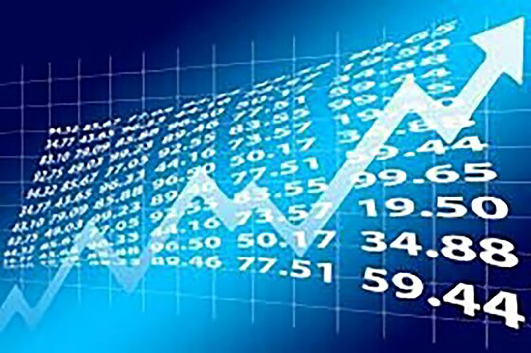 Vitamin K3 MSB and Vitamin K3 market trends