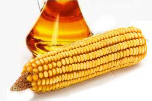 Webinar explains benefits of corn oil extraction