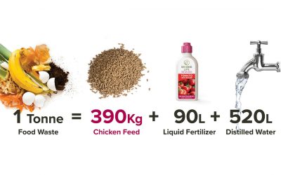 Every tonne of food waste turned into poultry feed can save valuable resources. Photo: Food Recycle