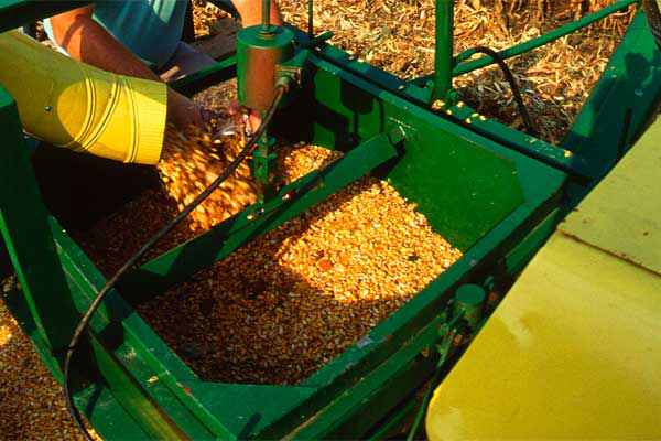 Cherkizovo aims for 40% hike in 2015 feed grain