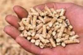 Russia s Kursk region to get five compound feed plants