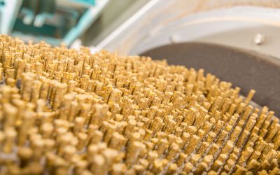 Results show that with the use of an alternative feed processing line the output of pellet (tonnes/h) and the longevity of the die have increased. Photo: Shutterstock