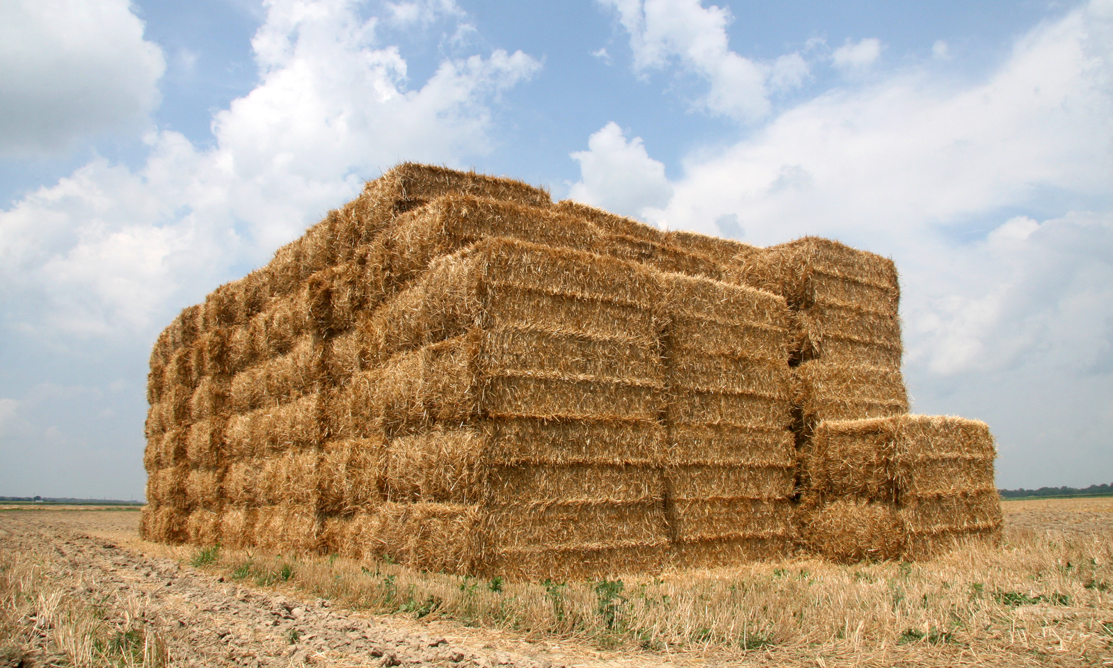 Steps to follow when sampling hay for nutrient analysis