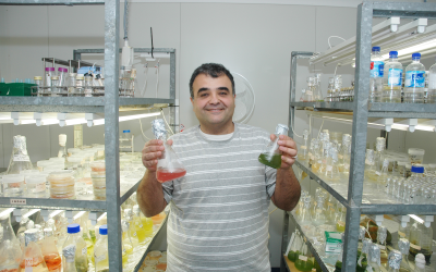 Dr Navid Moheimani at Murdoch University's Algae R&D Centre.