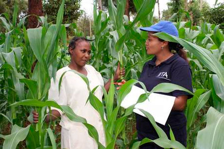 Scientist recognised for work against aflatoxin