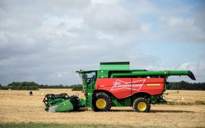 Budweiser Brewing Group UK&I sources 100% of its barley requirements in the UK from local farmers. Photo: Budweiser