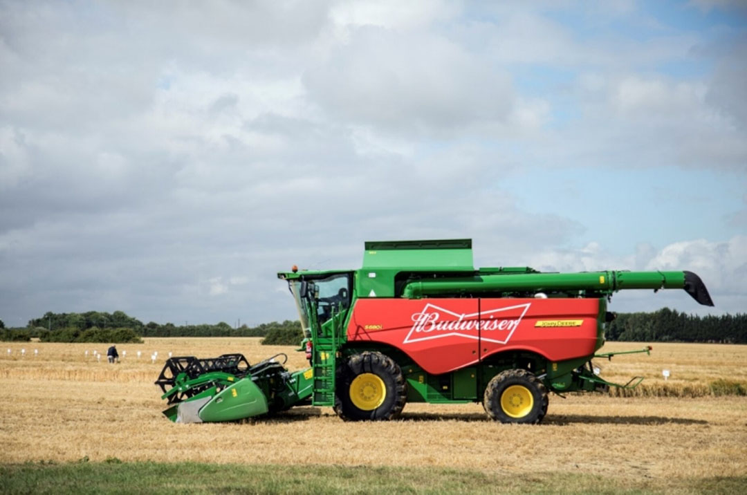 Budweiser Brewing Group UK&I sources 100% of its barley requirements in the UK from local farmers. Photo: Budweiser