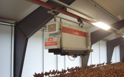 Automatic on-rail feeding mixer system for pigs and poultry