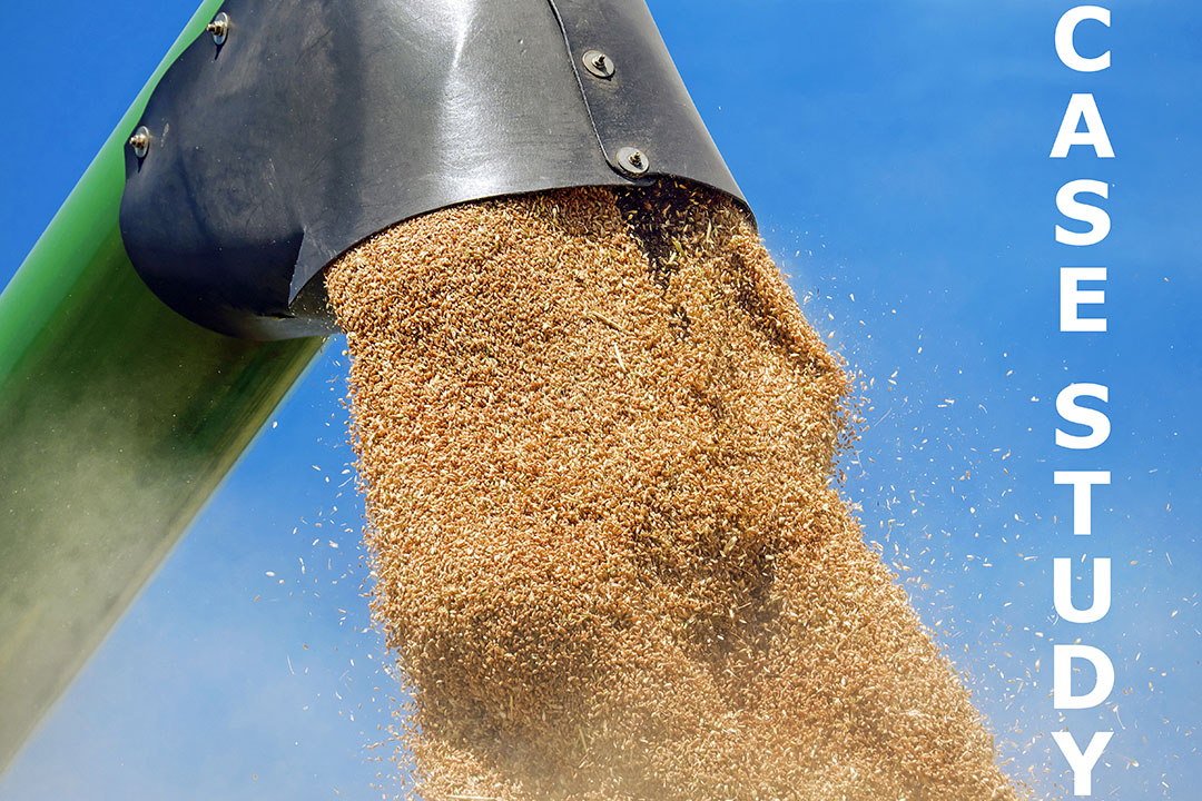 Case study: Brazilian corn sector healthy