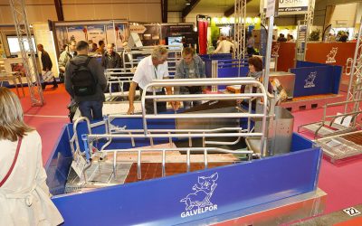 Snapshot of an earlier edition of the annual animal husbandry show SPACE in France. Photo: Henk Riswick