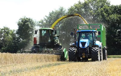 Prospects are good for European wheat growers. The wheat price is currently under pressure because there is plenty of harvesting going on. Photo: Henk Riswick