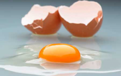Using egg yolk antibodies to cut poultry nitrogen emissions