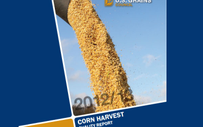 Despite drought US reports high quality corn crop