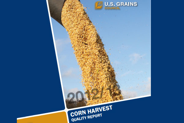 Despite drought US reports high quality corn crop