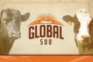 Future of Beef and Dairy Farming at Alltech Global 500