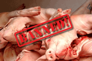 Ractapamine prompts pork import ban by Russia