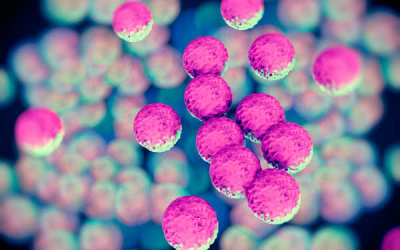 New EU project on antibiotic resistance