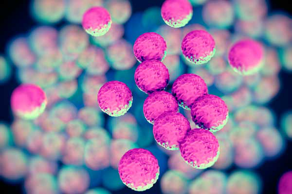 New EU project on antibiotic resistance
