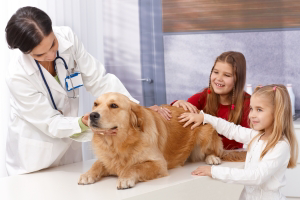 Pets are part of the family and as such treated that way, not only when ill, but also nutritionally with using supplements and so on.