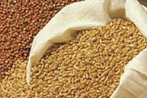 Saudi Arabia to import over 2 mln tonnes of feed