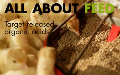 New issue All About Feed now online.