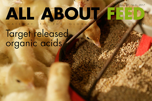 New issue All About Feed now online.