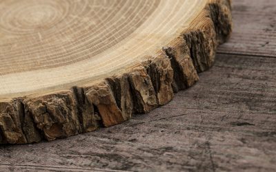 Wood is a natural source of lignocellulose. Photo: Agromed/iStock