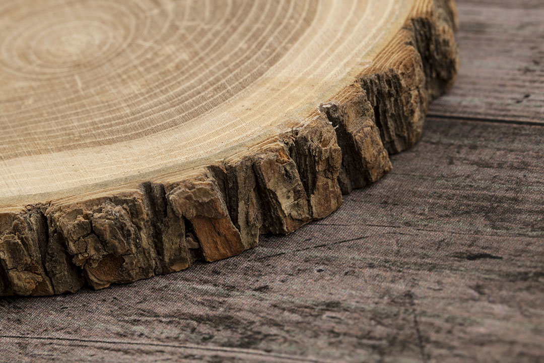 Wood is a natural source of lignocellulose. Photo: Agromed/iStock