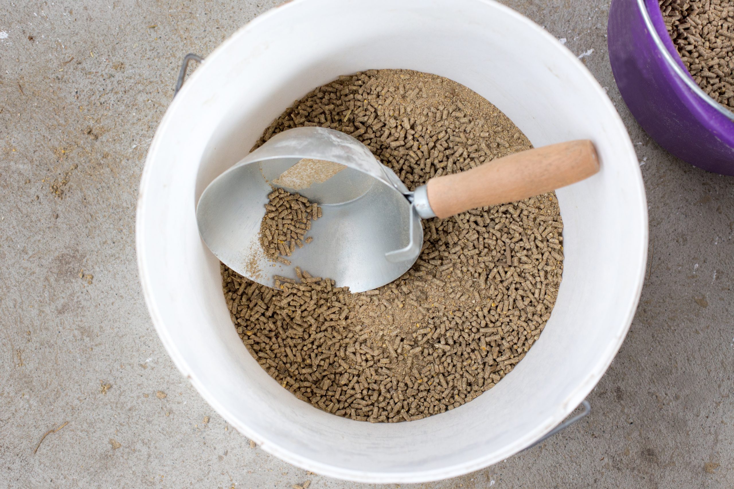 Ensuring the profitability of feed processing. Photo: Shutterstock