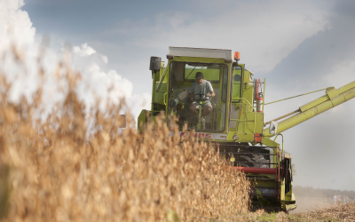 EU produces too little canola and soy