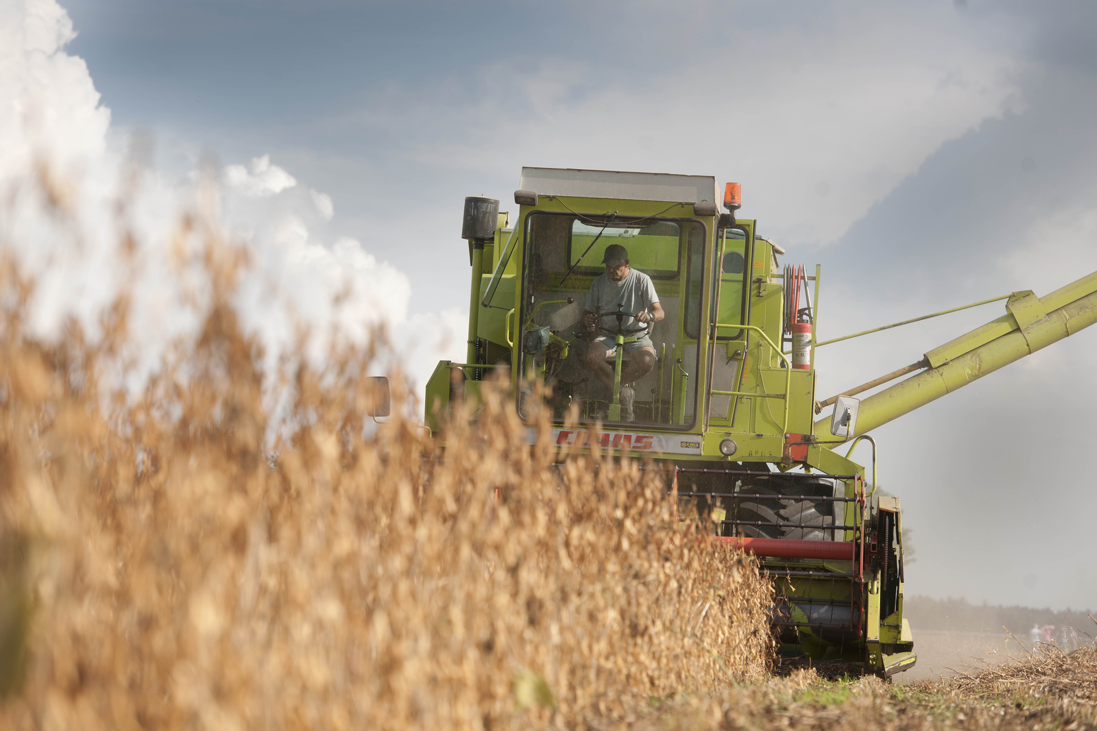 EU produces too little canola and soy