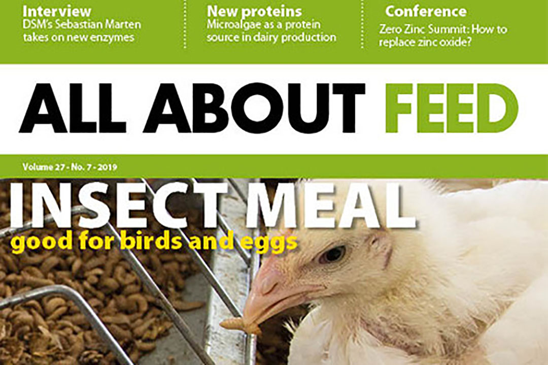 New edition of All About Feed now online - All About Feed