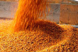 Production of premixes increased in December